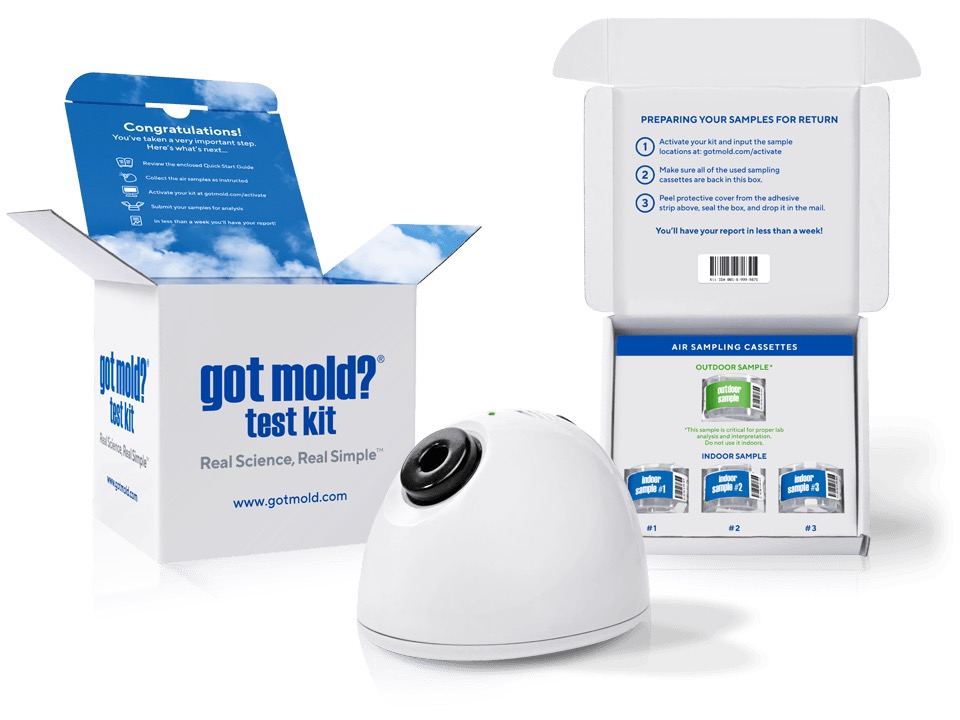 Got Mold? Test Kit